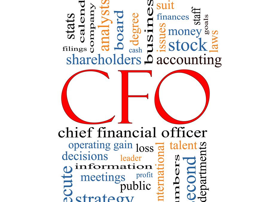 Financial Statements & the Fractional CFO