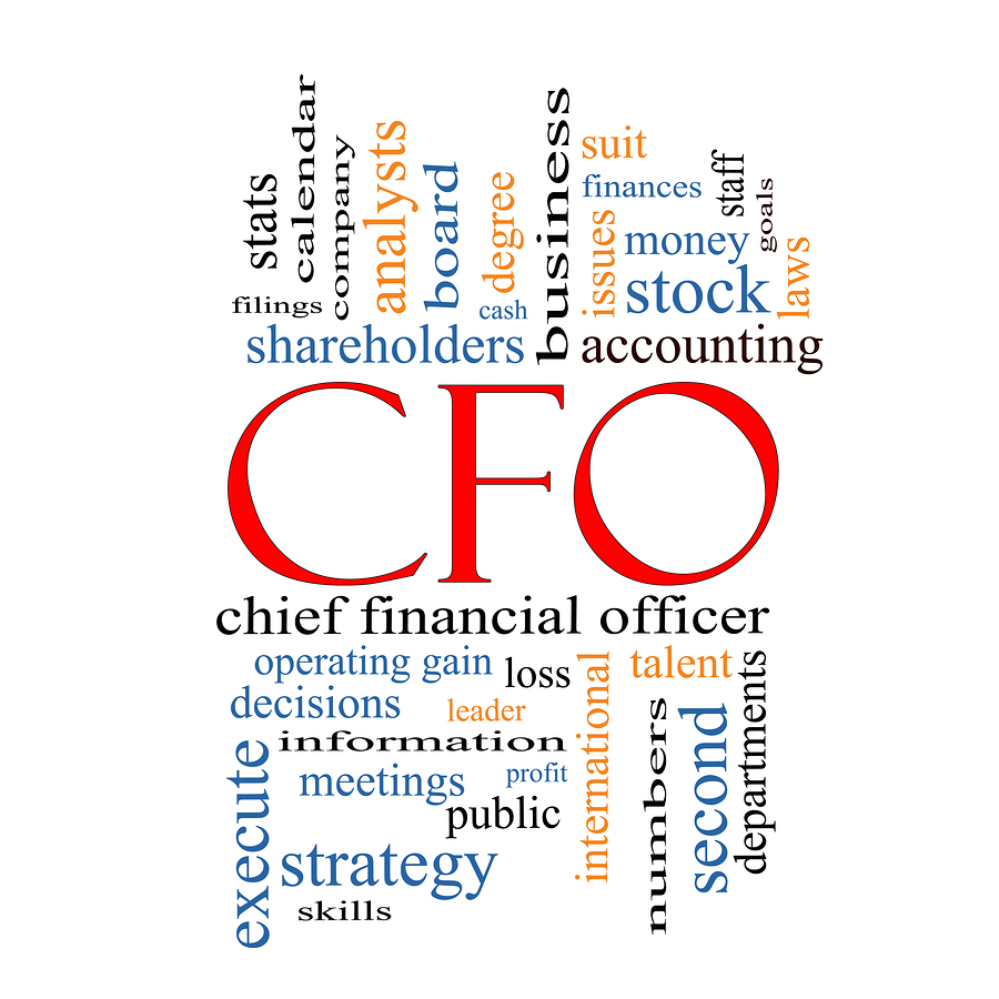 Financial Statements & the Fractional CFO